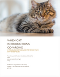 When Cat Introductions Go Wrong Troubleshooting Guide